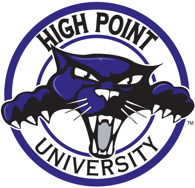 High Point Panthers 2004-2011 Alternate Logo t shirts iron on transfers v3